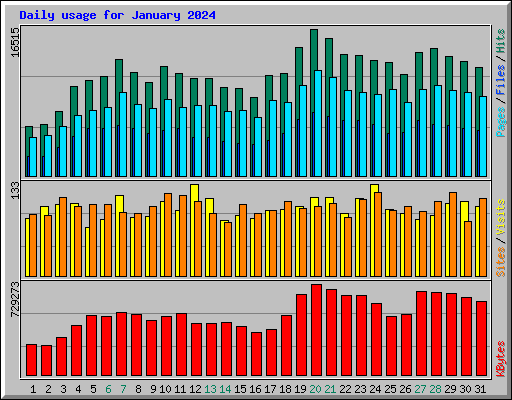 Daily usage for January 2024