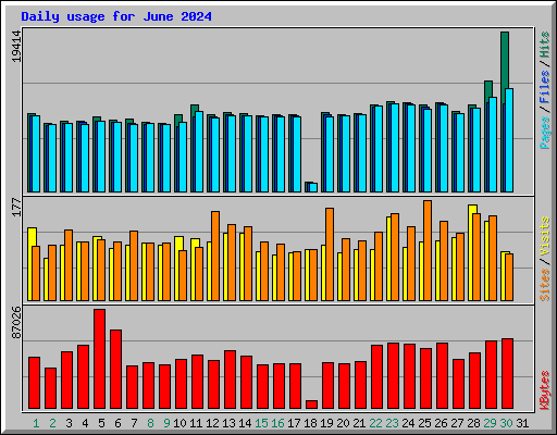 Daily usage for June 2024