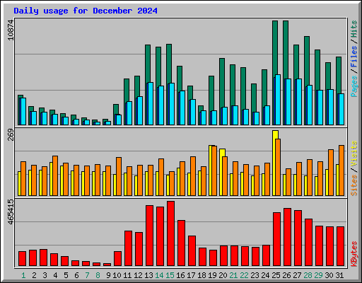 Daily usage for December 2024