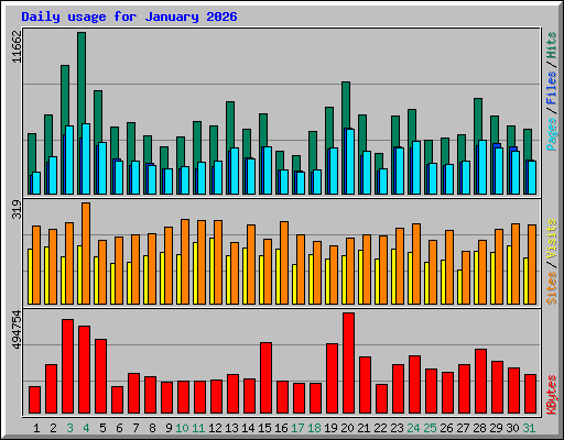 Daily usage for January 2026