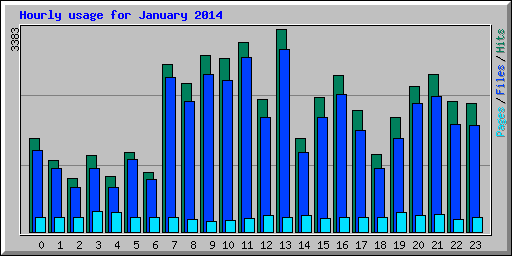 Hourly usage for January 2014