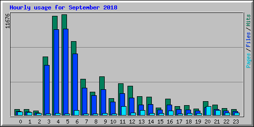 Hourly usage for September 2018