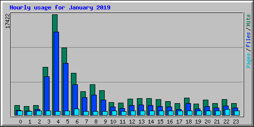 Hourly usage for January 2019
