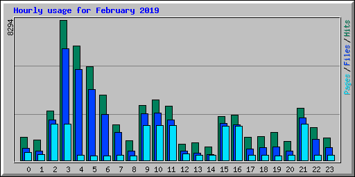 Hourly usage for February 2019