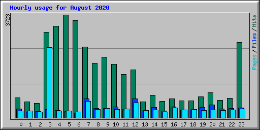 Hourly usage for August 2020