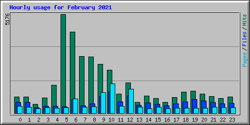 Hourly usage for February 2021