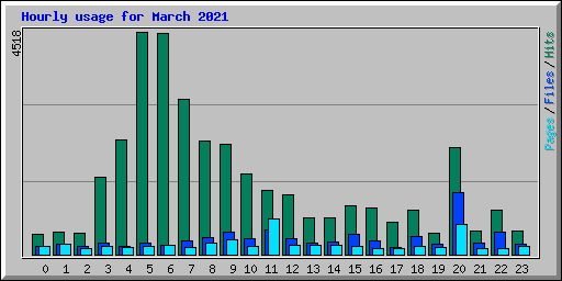 Hourly usage for March 2021