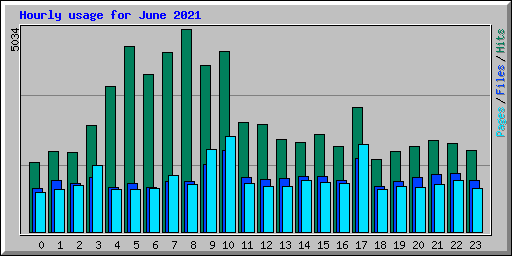 Hourly usage for June 2021
