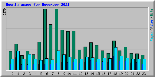 Hourly usage for November 2021