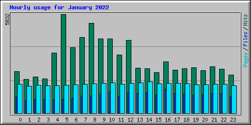 Hourly usage for January 2022