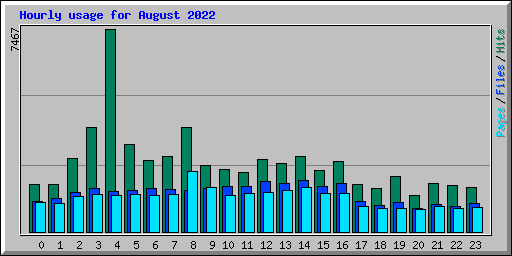 Hourly usage for August 2022
