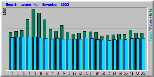 Hourly usage for November 2022
