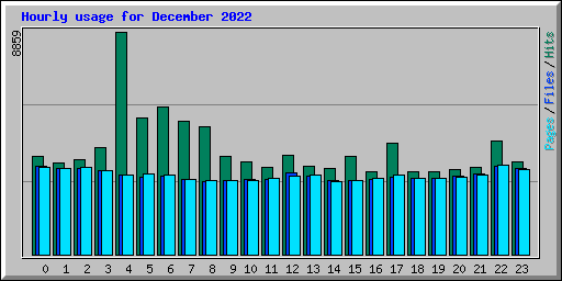 Hourly usage for December 2022