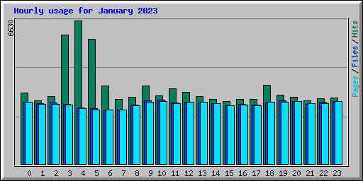 Hourly usage for January 2023
