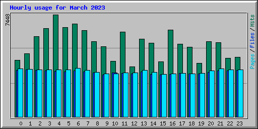 Hourly usage for March 2023