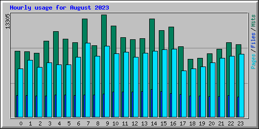 Hourly usage for August 2023