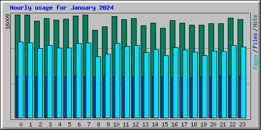Hourly usage for January 2024