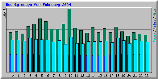 Hourly usage for February 2024