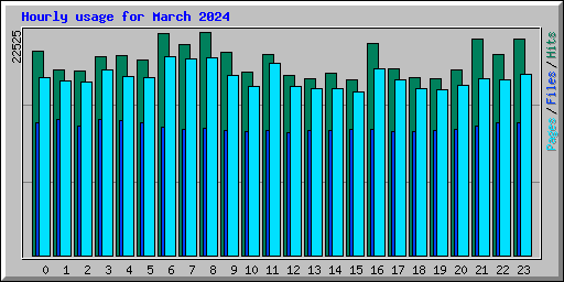 Hourly usage for March 2024