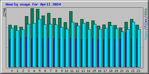 Hourly usage for April 2024