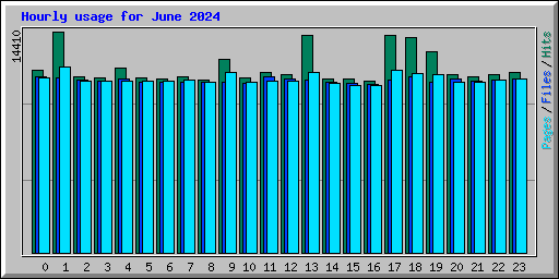 Hourly usage for June 2024