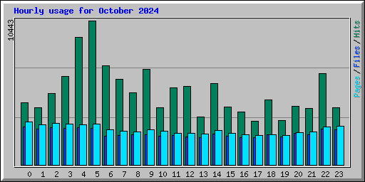 Hourly usage for October 2024