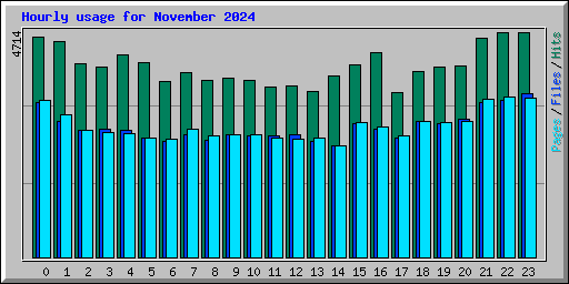 Hourly usage for November 2024