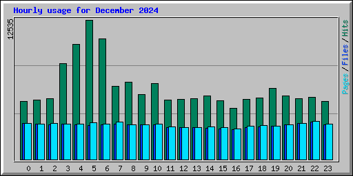 Hourly usage for December 2024