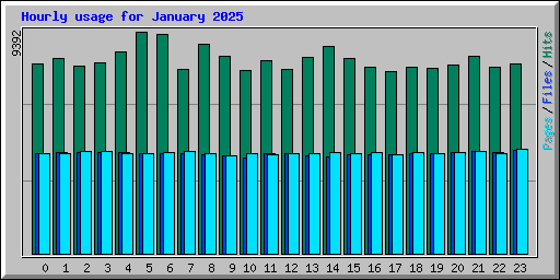 Hourly usage for January 2025
