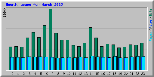Hourly usage for March 2025