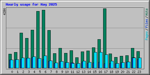 Hourly usage for May 2025