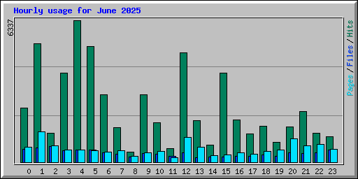Hourly usage for June 2025
