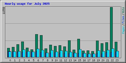 Hourly usage for July 2025