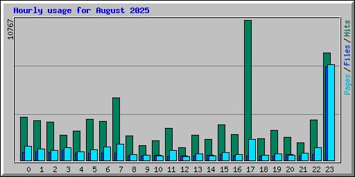 Hourly usage for August 2025