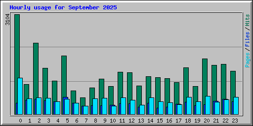 Hourly usage for September 2025