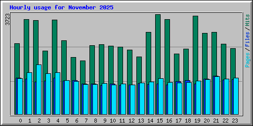 Hourly usage for November 2025