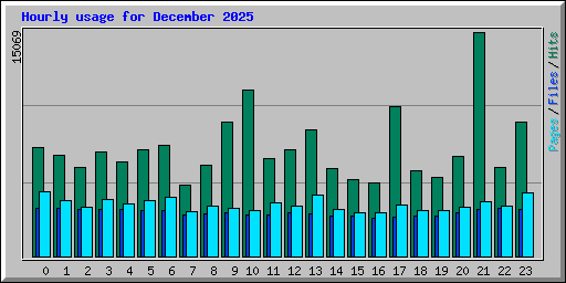 Hourly usage for December 2025