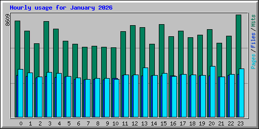 Hourly usage for January 2026
