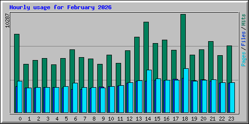 Hourly usage for February 2026