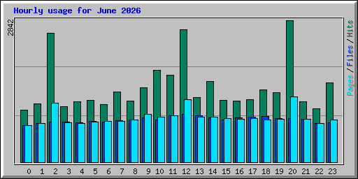 Hourly usage for June 2026